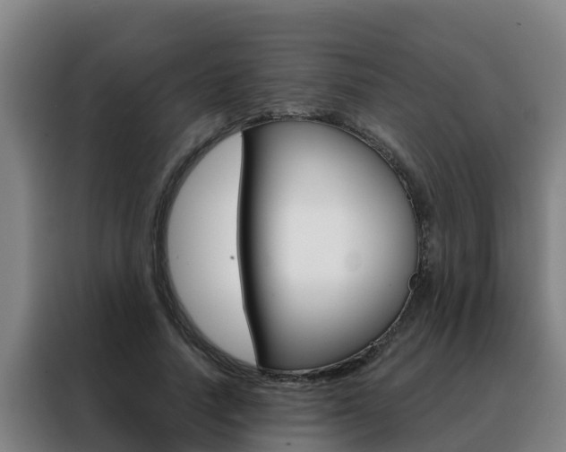 X0000088480738200705221000