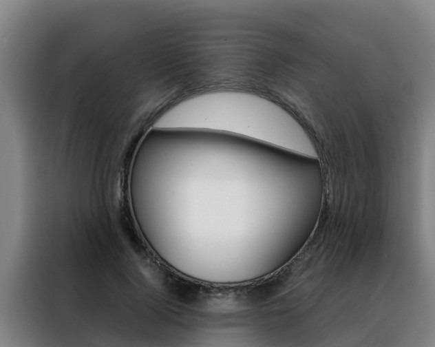 X0000088480740200705221000