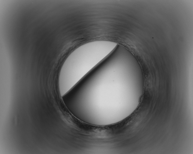 X0000088480742200705221000