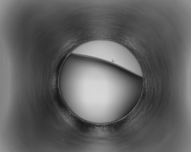 X0000088480744200705221000