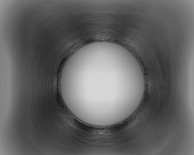 X0000088480745200705221000
