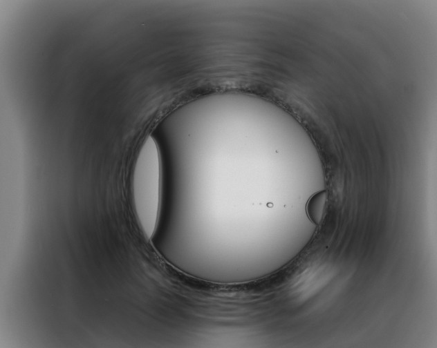 X0000088480746200705221000