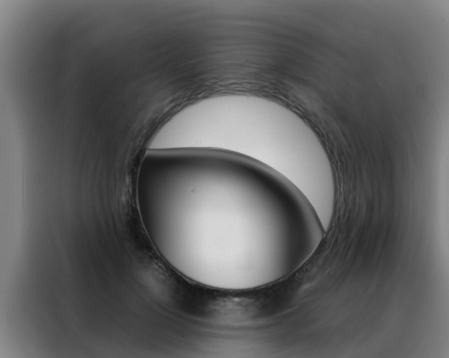 X0000088480748200705221000