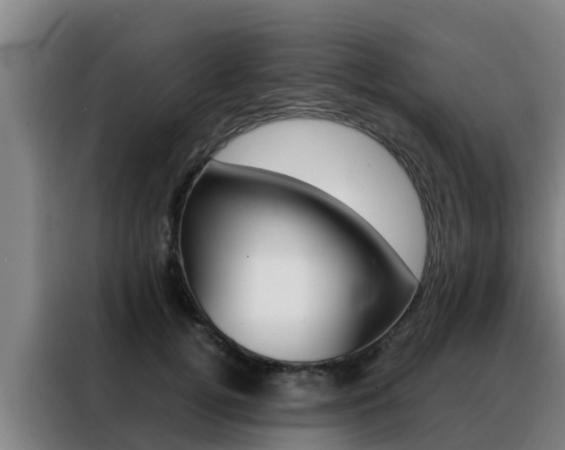 X0000088480752200705221000