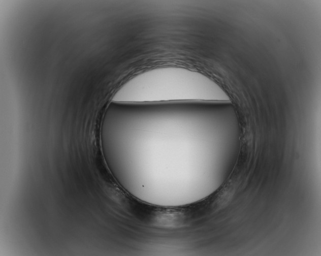 X0000088480754200705221000