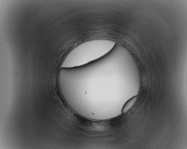 X0000088480757200705221000