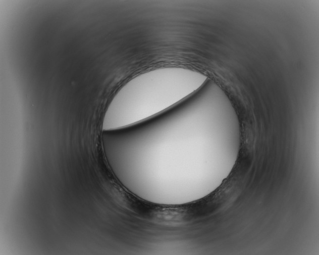 X0000088480758200705221001