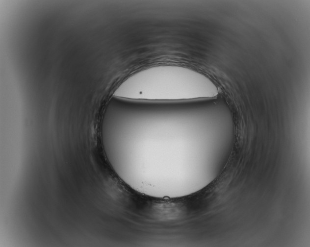 X0000088480759200705221001