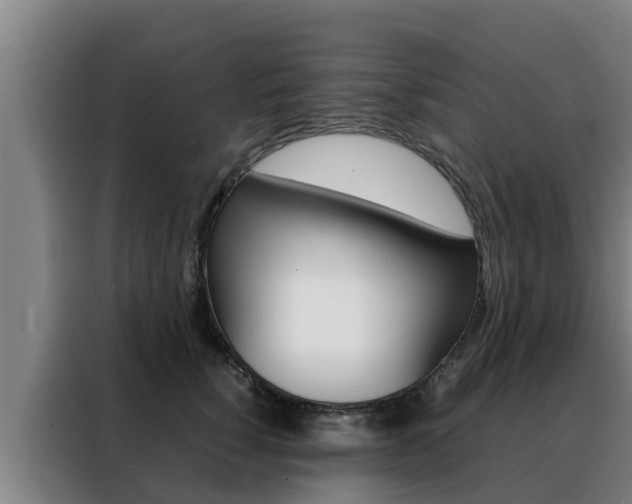 X0000088480760200705221001