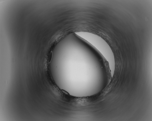 X0000088480762200705221001