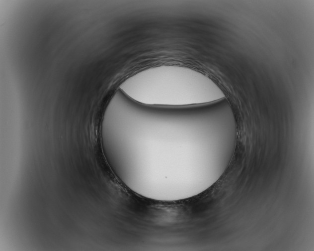 X0000088480763200705221001