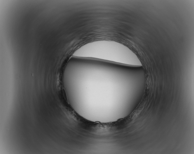 X0000088480764200705221001