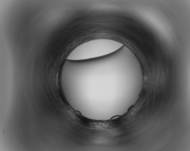 X0000088480765200705221001