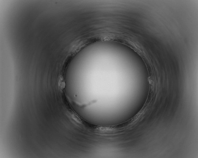 X0000088480766200705221001