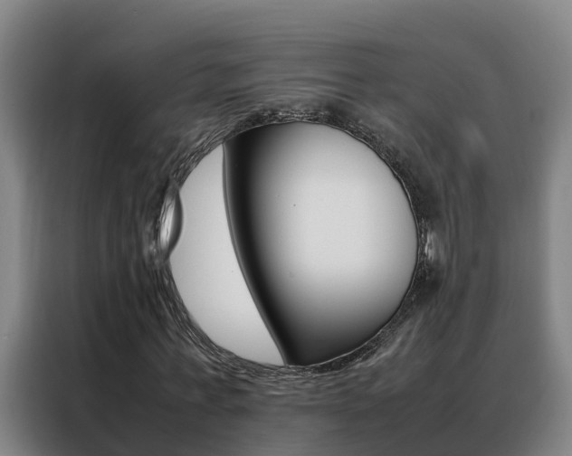 X0000088480771200705221000
