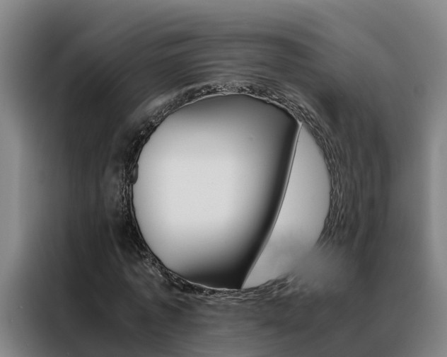 X0000088480773200705221000