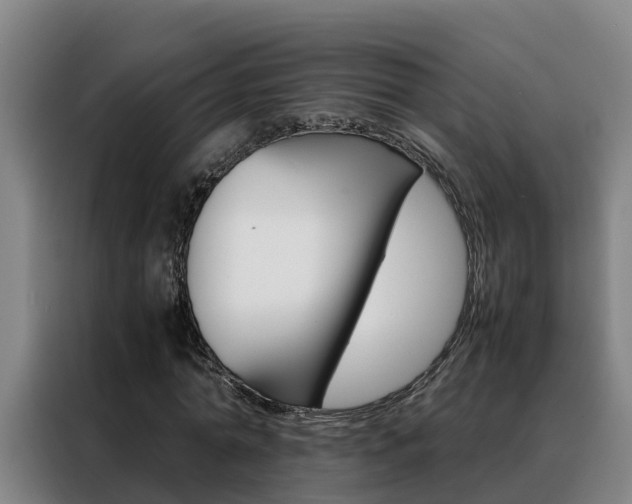 X0000088480774200705221000