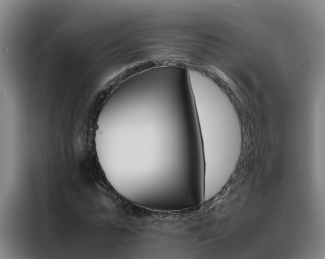 X0000088480775200705221000