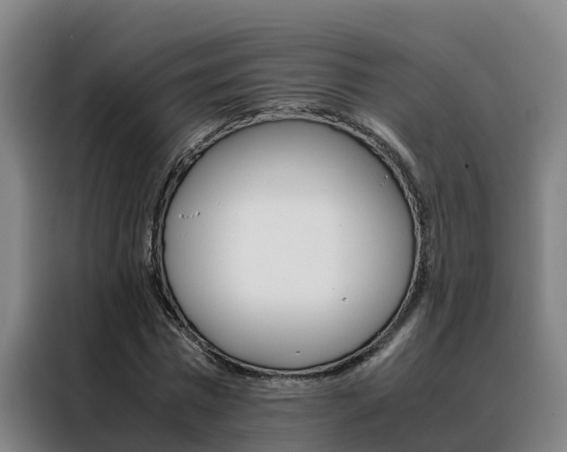 X0000088480777200705221000