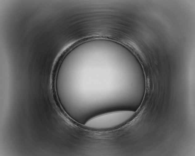 X0000088480780200705221000