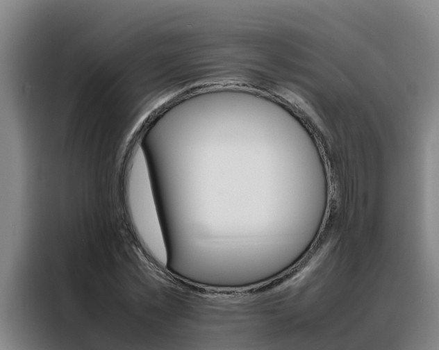 X0000088480781200705221000