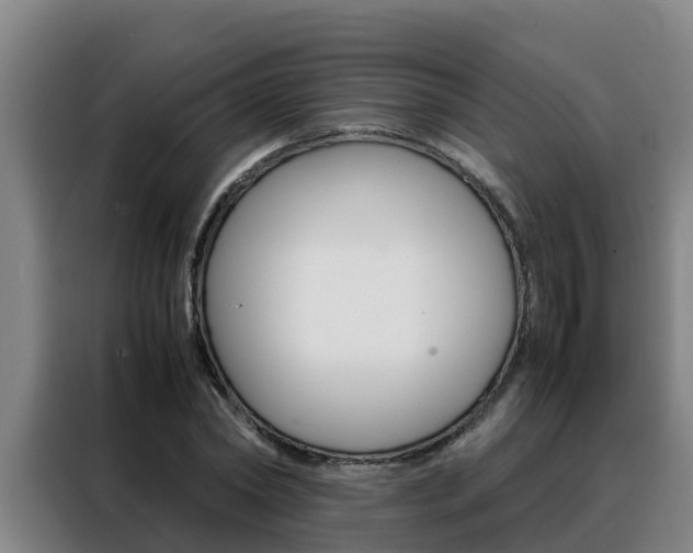 X0000088480782200705221000