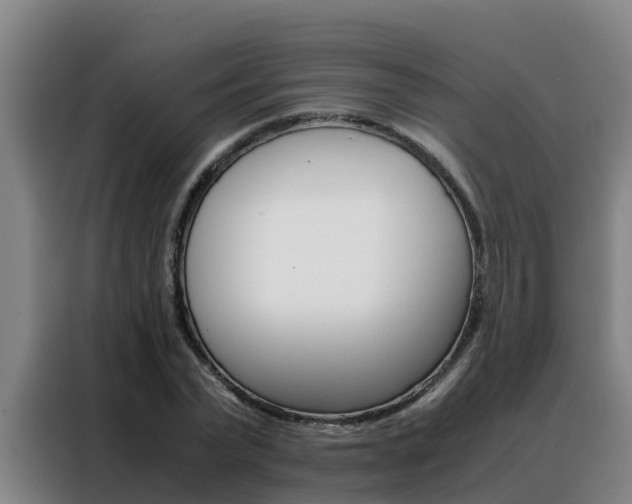 X0000088480783200705221000