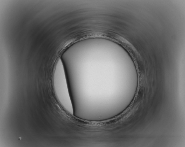 X0000088480785200705221000
