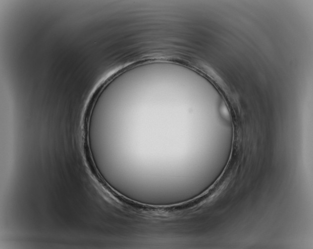X0000088480787200705221000