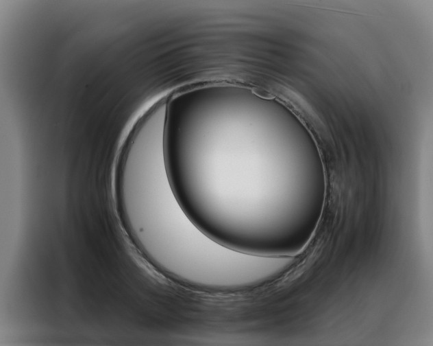 X0000088480788200705221000