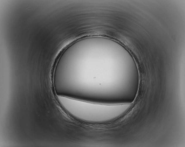 X0000088480789200705221000