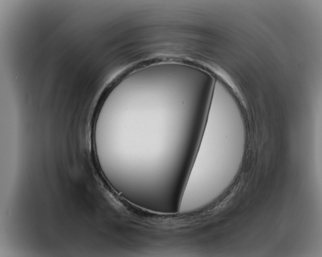 X0000088480791200705221000