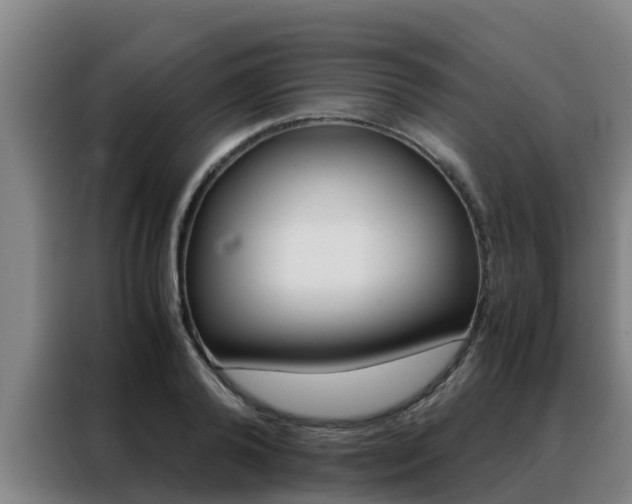 X0000088480792200705221000