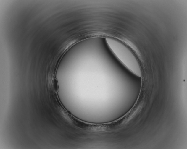 X0000088480793200705221000