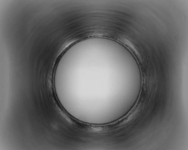 X0000088480794200705221000