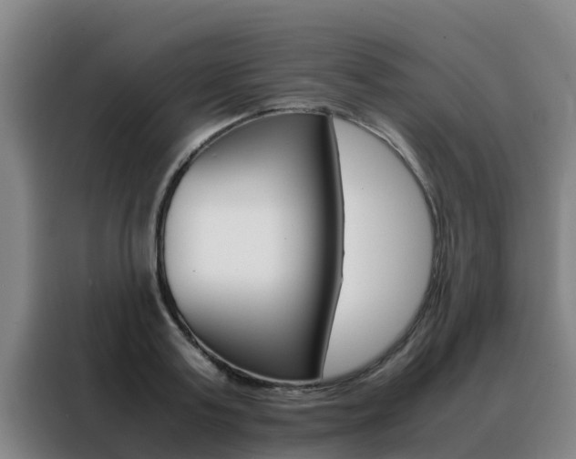 X0000088480795200705220959