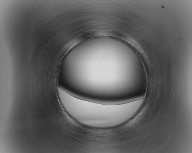 X0000088480801200705220959