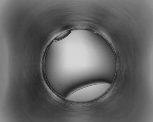 X0000088480803200705220959