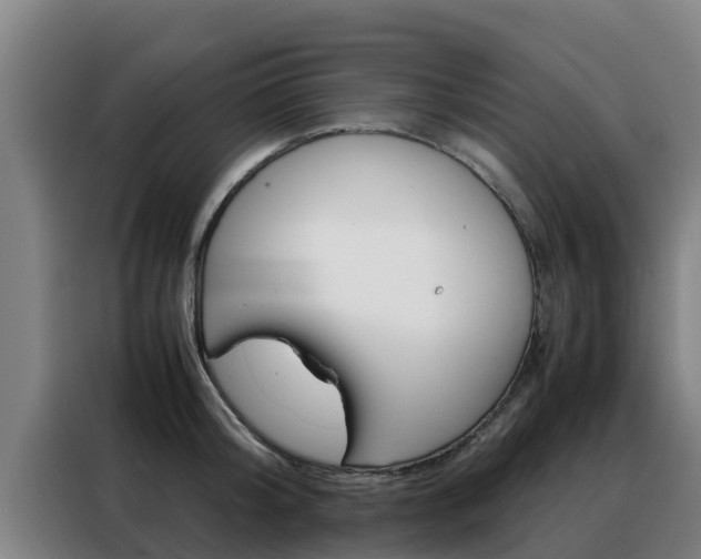 X0000088480804200705220959