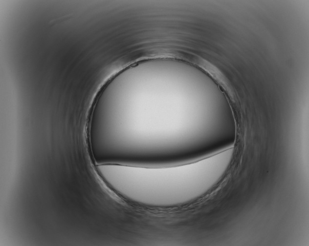 X0000088480805200705220959