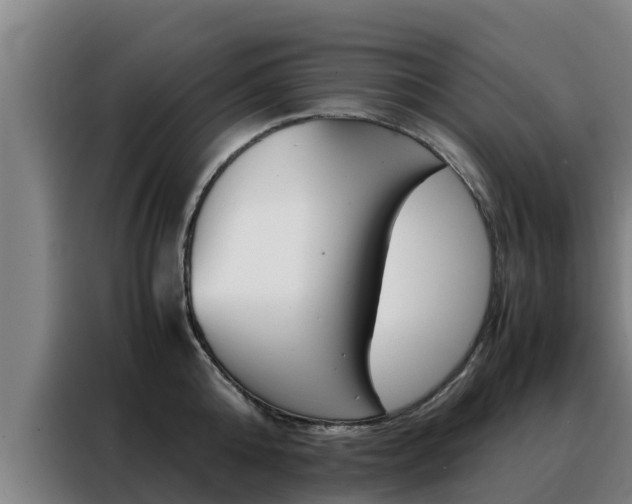 X0000088480808200705220959