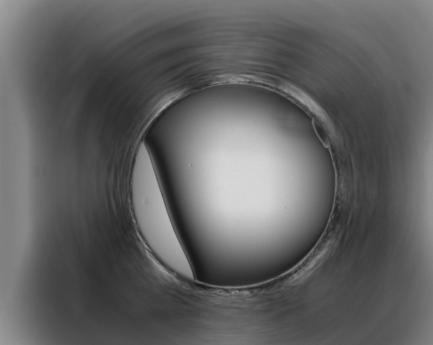 X0000088480809200705220959