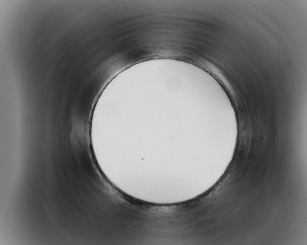 X0000088480810200705220959