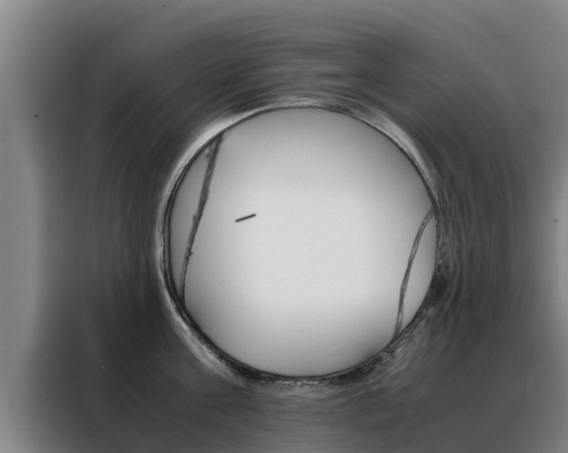 X0000088480811200705220959
