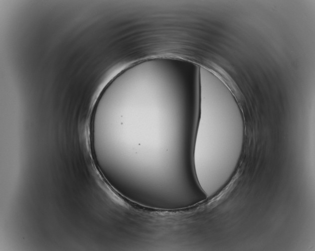 X0000088480812200705220959