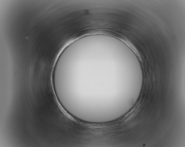 X0000088480813200705220959