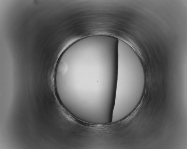 X0000088480814200705220959