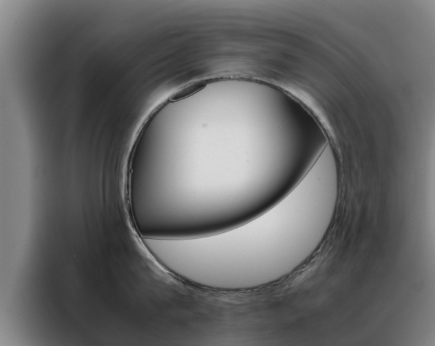 X0000088480815200705220959
