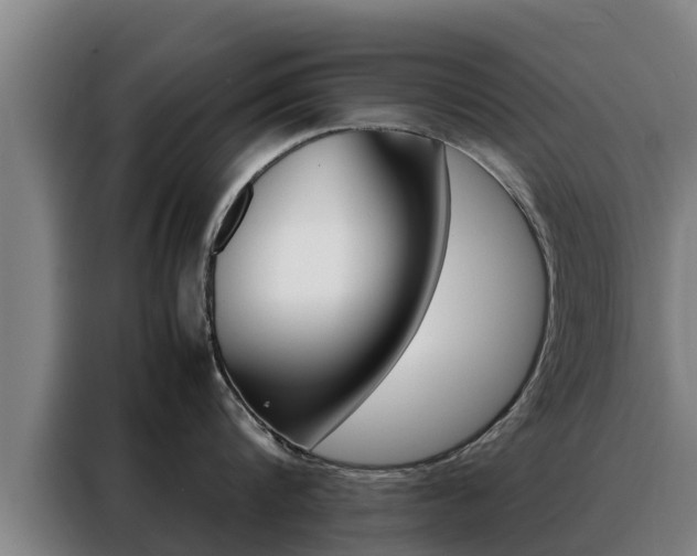 X0000088480816200705220959