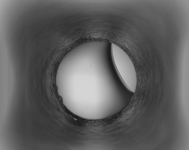X0000088480817200705220959